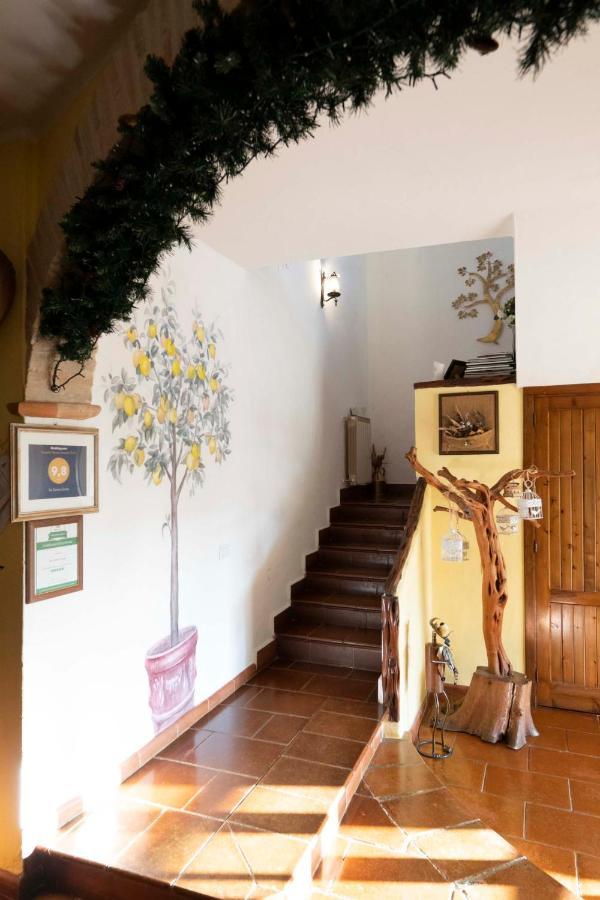 Sa Domu Sarda Suites - Bed & Breakfast Porto Columbu - Perd'E Sali Buitenkant foto